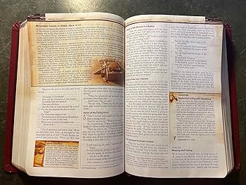 The Chronological Study Bible (NKJV) [Bonded Leather